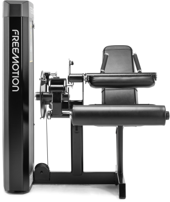 ES803 Leg Curl