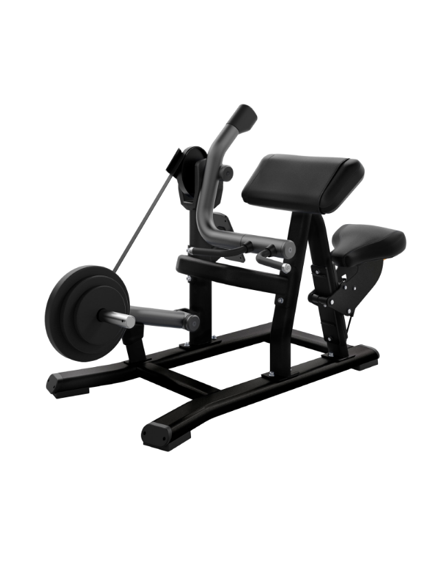 Plate Loaded Biceps Curl  DPL0520